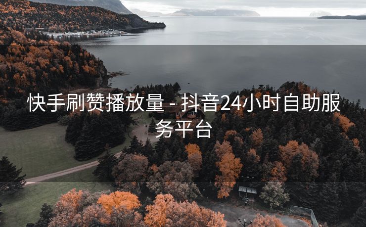 快手刷赞播放量 - 抖音24小时自助服务平台