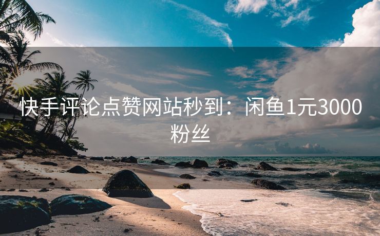 快手评论点赞网站秒到：闲鱼1元3000粉丝