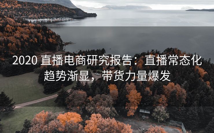 2020 直播电商研究报告：直播常态化趋势渐显，带货力量爆发