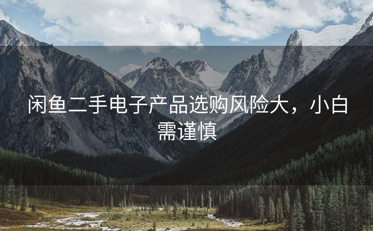 闲鱼二手电子产品选购风险大，小白需谨慎