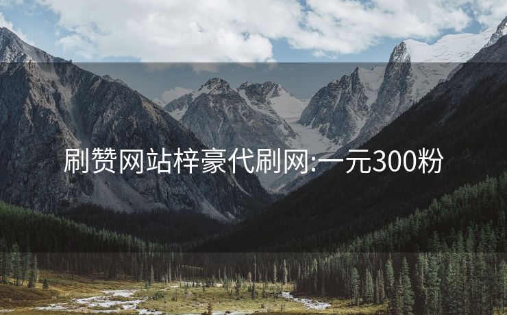 刷赞网站梓豪代刷网:一元300粉