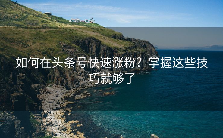 如何在头条号快速涨粉？掌握这些技巧就够了
