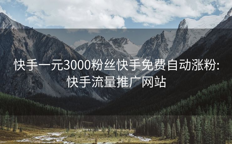 快手一元3000粉丝快手免费自动涨粉:快手流量推广网站