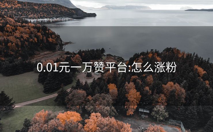 0.01元一万赞平台:怎么涨粉