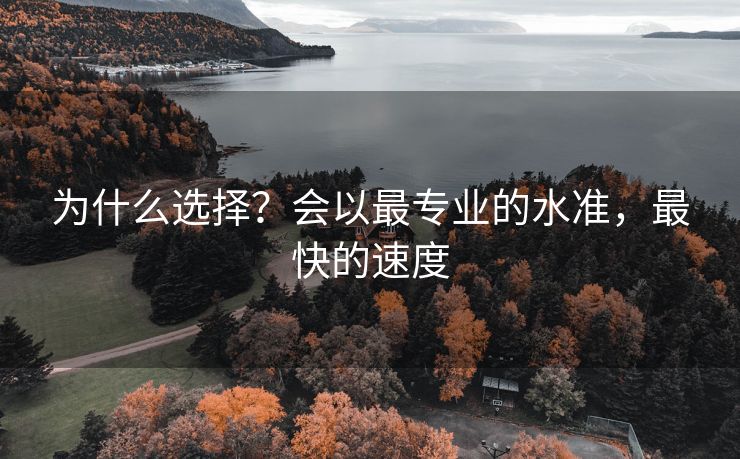 为什么选择？会以最专业的水准，最快的速度