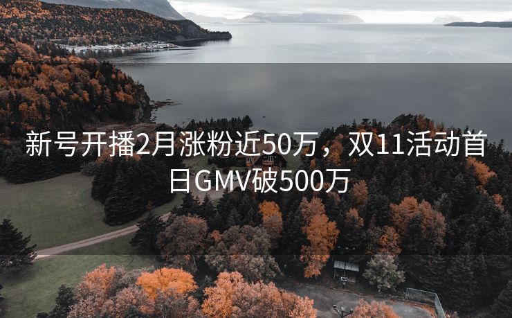 新号开播2月涨粉近50万，双11活动首日GMV破500万
