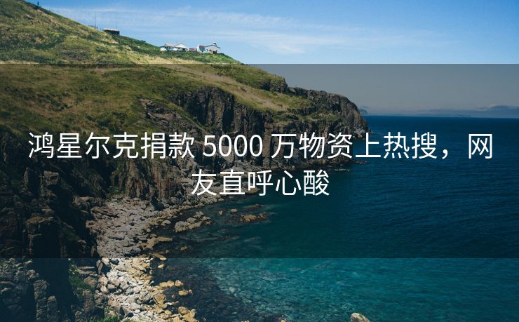 鸿星尔克捐款 5000 万物资上热搜，网友直呼心酸