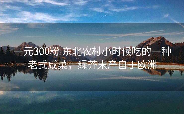 一元300粉 东北农村小时候吃的一种老式咸菜，绿芥末产自于欧洲