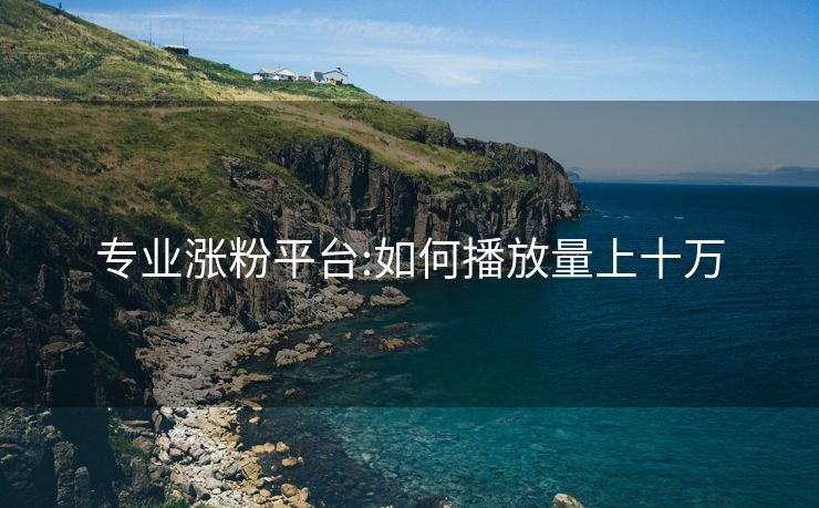专业涨粉平台:如何播放量上十万