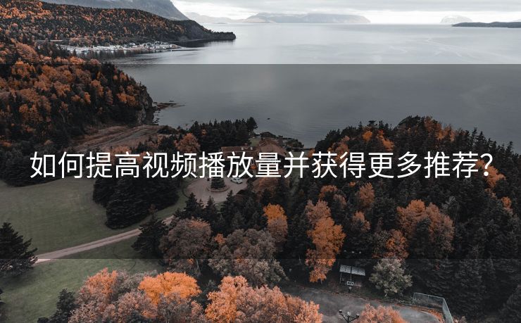 如何提高视频播放量并获得更多推荐？