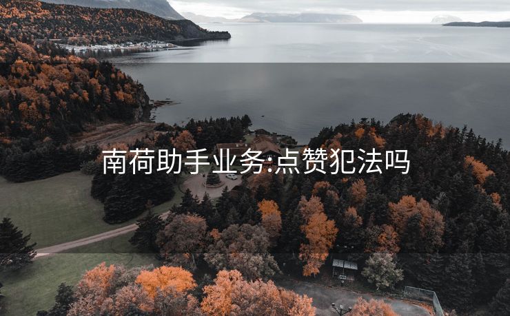 南荷助手业务:点赞犯法吗