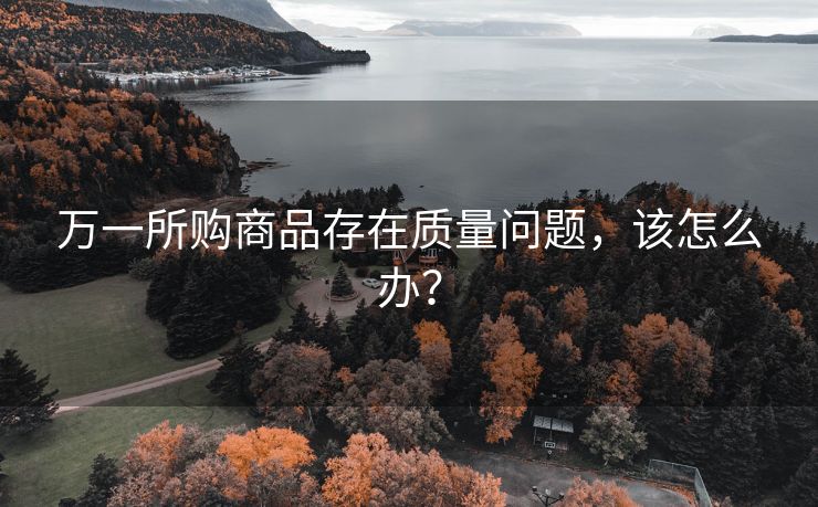 万一所购商品存在质量问题，该怎么办？