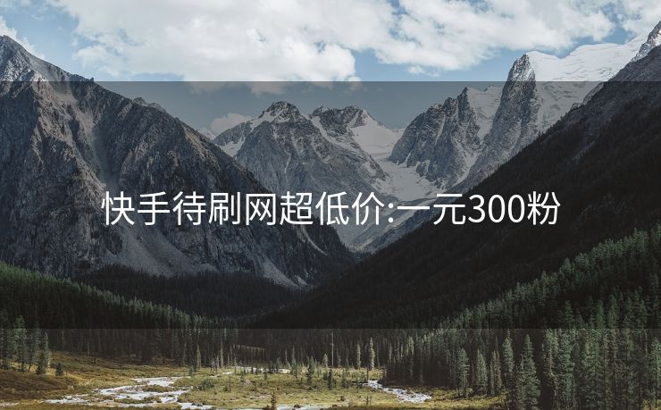 快手待刷网超低价:一元300粉