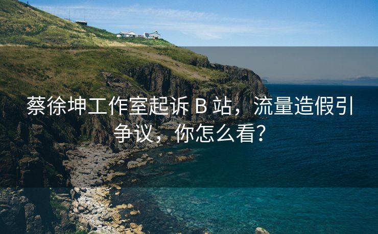 蔡徐坤工作室起诉 B 站，流量造假引争议，你怎么看？