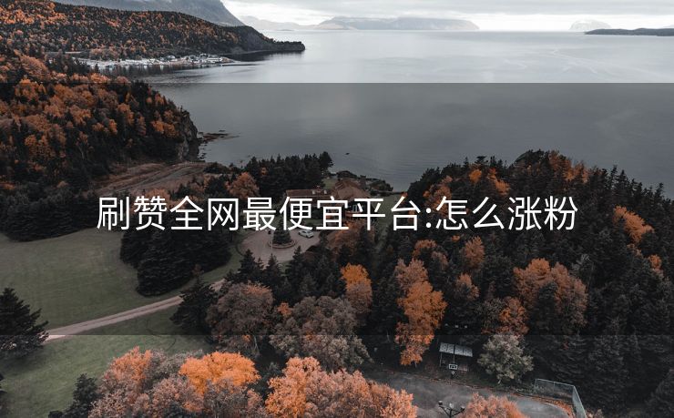 刷赞全网最便宜平台:怎么涨粉