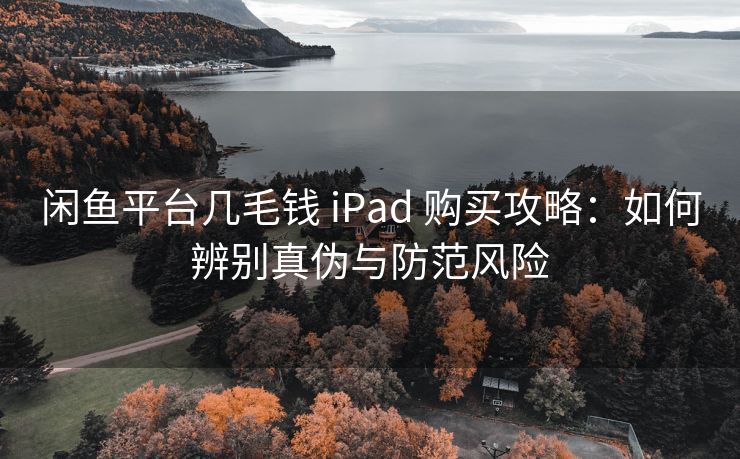闲鱼平台几毛钱 iPad 购买攻略：如何辨别真伪与防范风险