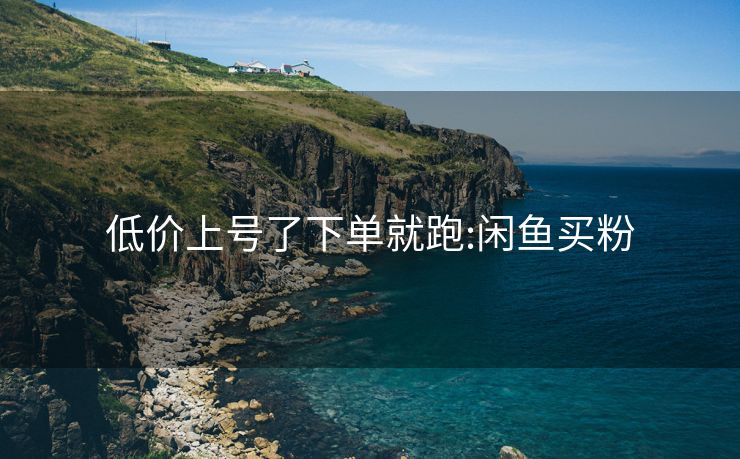 低价上号了下单就跑:闲鱼买粉
