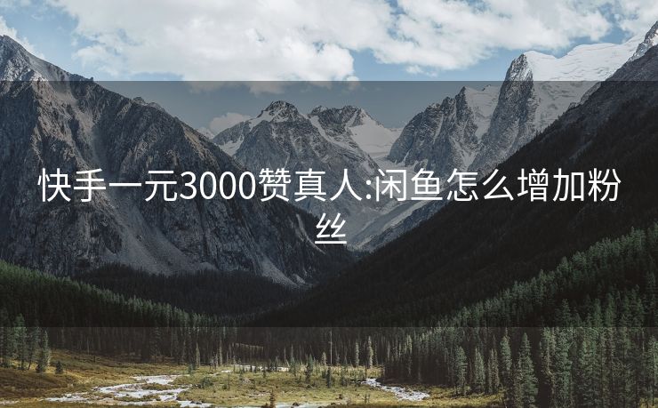 快手一元3000赞真人:闲鱼怎么增加粉丝