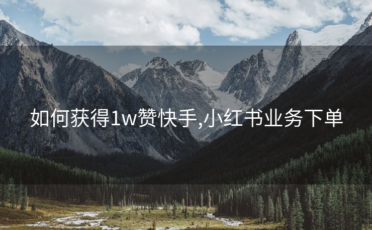 如何获得1w赞快手,小红书业务下单