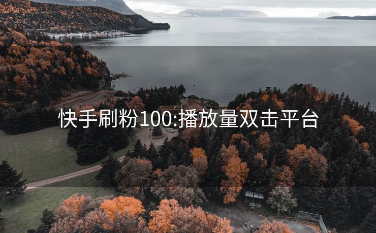 快手刷粉100:播放量双击平台
