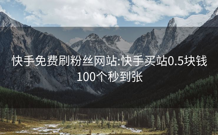 快手免费刷粉丝网站:快手买站0.5块钱100个秒到张