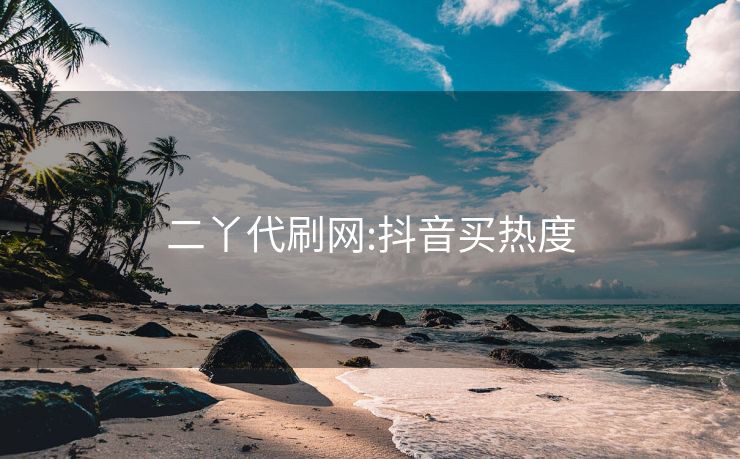 二丫代刷网:抖音买热度