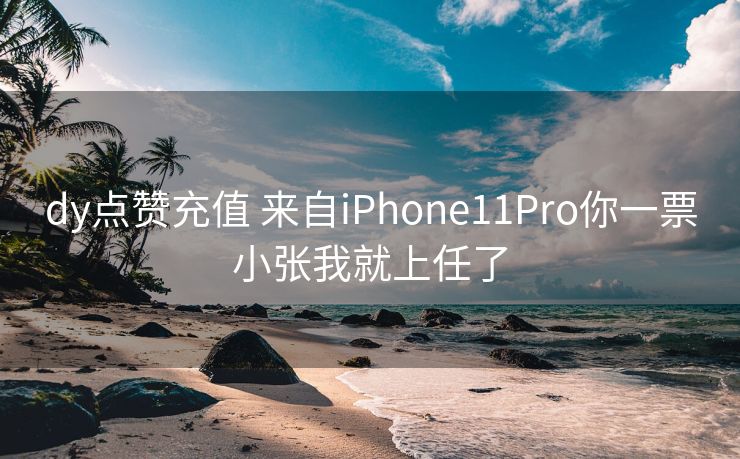 dy点赞充值 来自iPhone11Pro你一票小张我就上任了