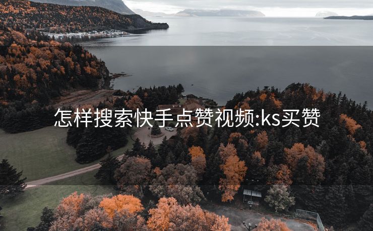 怎样搜索快手点赞视频:ks买赞