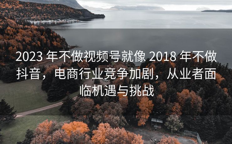 2023 年不做视频号就像 2018 年不做抖音，电商行业竞争加剧，从业者面临机遇与挑战