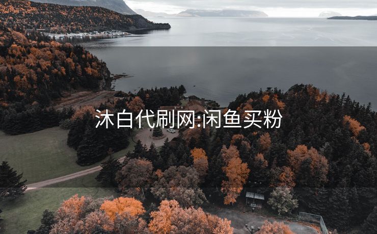 沐白代刷网:闲鱼买粉