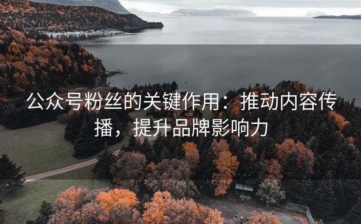公众号粉丝的关键作用：推动内容传播，提升品牌影响力