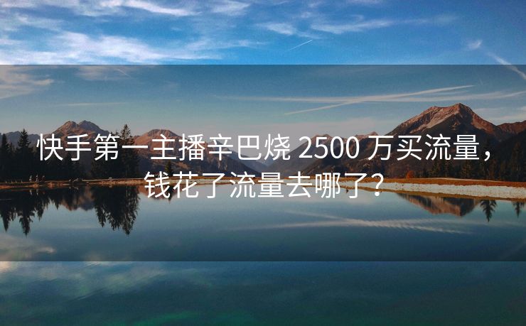快手第一主播辛巴烧 2500 万买流量，钱花了流量去哪了？