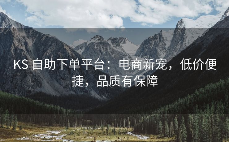 KS 自助下单平台：电商新宠，低价便捷，品质有保障