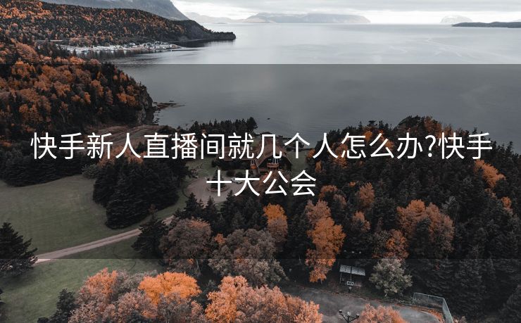 快手新人直播间就几个人怎么办?快手十大公会