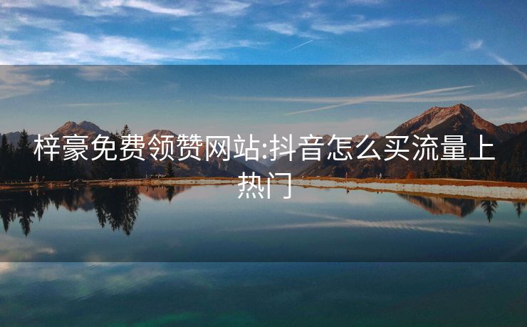 梓豪免费领赞网站:抖音怎么买流量上热门