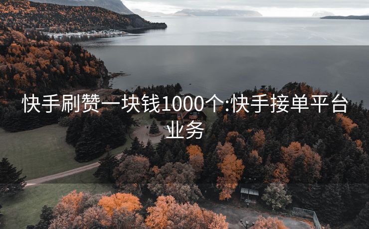 快手刷赞一块钱1000个:快手接单平台业务