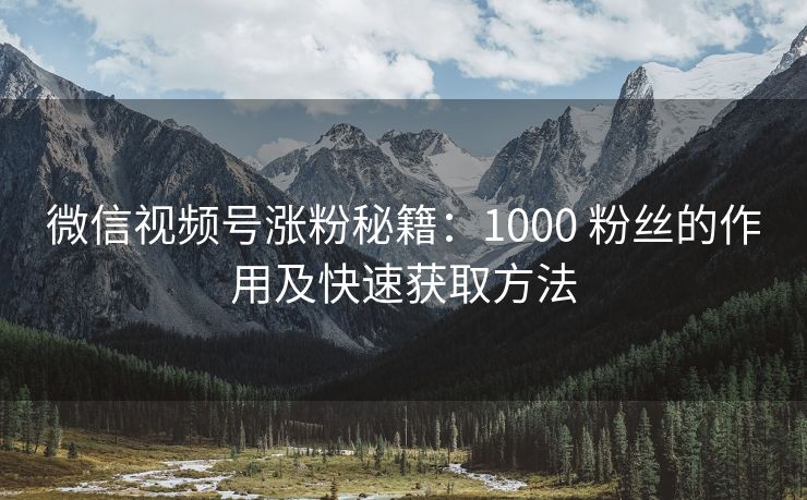 微信视频号涨粉秘籍：1000 粉丝的作用及快速获取方法