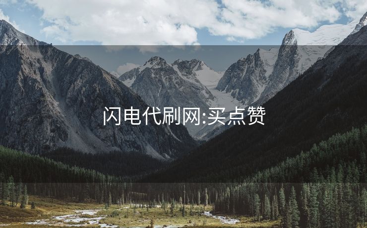 闪电代刷网:买点赞