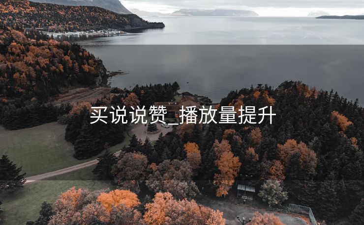 买说说赞_播放量提升
