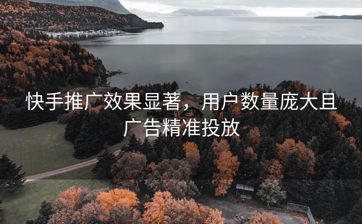 快手推广效果显著，用户数量庞大且广告精准投放