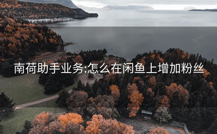 南荷助手业务:怎么在闲鱼上增加粉丝