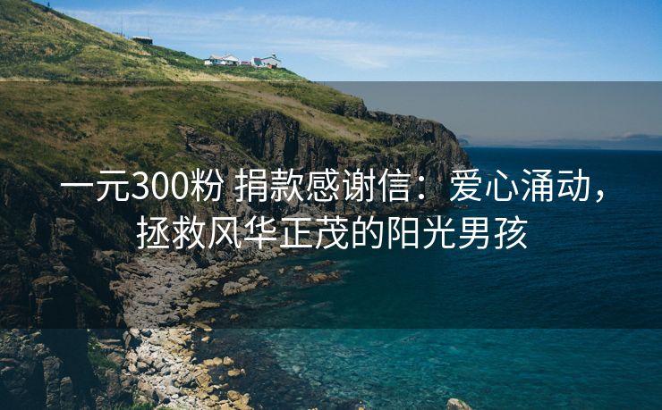 一元300粉 捐款感谢信：爱心涌动，拯救风华正茂的阳光男孩